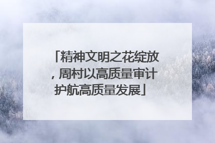 精神文明之花绽放，周村以高质量审计护航高质量发展