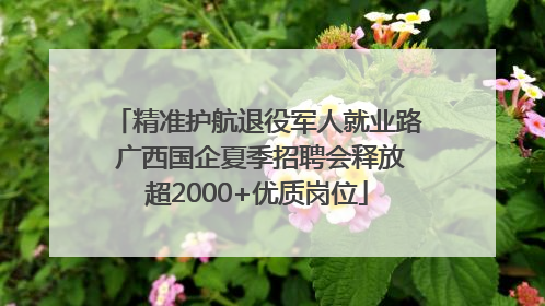 精准护航退役军人就业路 广西国企夏季招聘会释放超2000+优质岗位