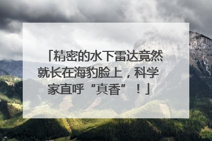 精密的水下雷达竟然就长在海豹脸上，科学家直呼“真香”！
