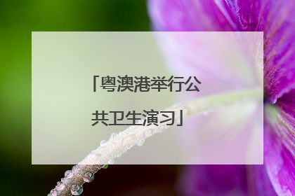 粤澳港举行公共卫生演习