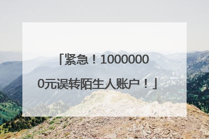 紧急！10000000元误转陌生人账户！