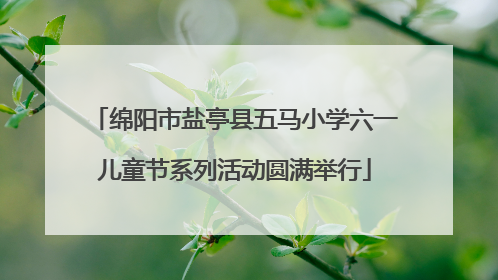 绵阳市盐亭县五马小学六一儿童节系列活动圆满举行