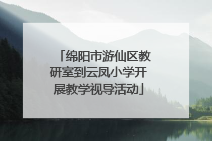 绵阳市游仙区教研室到云凤小学开展教学视导活动