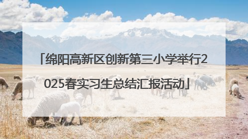 绵阳高新区创新第三小学举行2025春实习生总结汇报活动