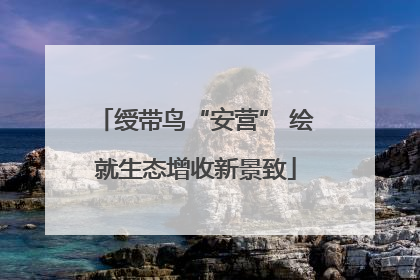 绶带鸟“安营” 绘就生态增收新景致