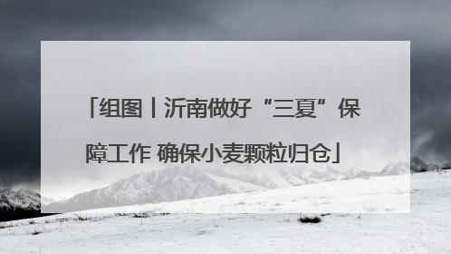 组图丨沂南做好“三夏”保障工作 确保小麦颗粒归仓