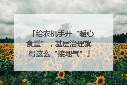 给农机手开“暖心食堂”，基层治理就得这么“接地气”