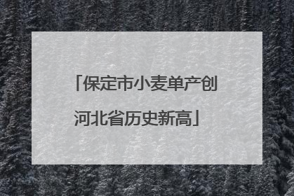 保定市小麦单产创河北省历史新高