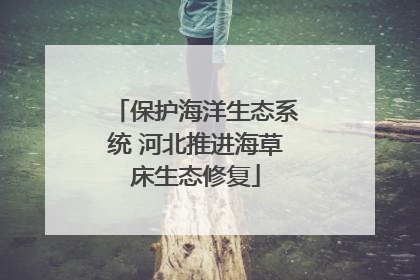 保护海洋生态系统 河北推进海草床生态修复