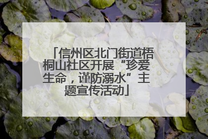 信州区北门街道梧桐山社区开展“珍爱生命，谨防溺水”主题宣传活动