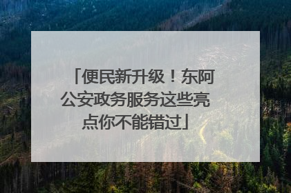 便民新升级！东阿公安政务服务这些亮点你不能错过