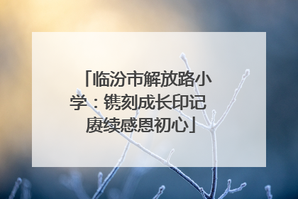 临汾市解放路小学：镌刻成长印记 赓续感恩初心