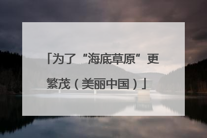 为了“海底草原”更繁茂（美丽中国）