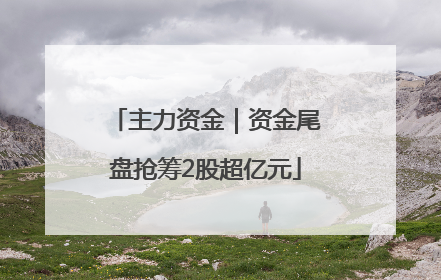 主力资金｜资金尾盘抢筹2股超亿元