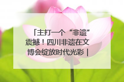 主打一个“非遗”震撼！四川非遗在文博会绽放时代光彩｜文博向“新”