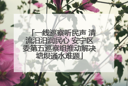 一线巡察听民声 清流汨汨润民心 安宁区委第五巡察组推动解决塘坝通水难题