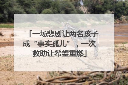 一场悲剧让两名孩子成“事实孤儿”，一次救助让希望重燃