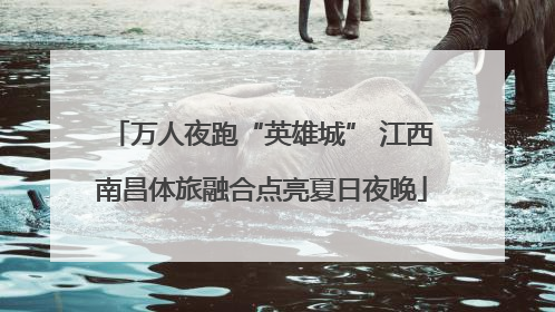 万人夜跑“英雄城” 江西南昌体旅融合点亮夏日夜晚