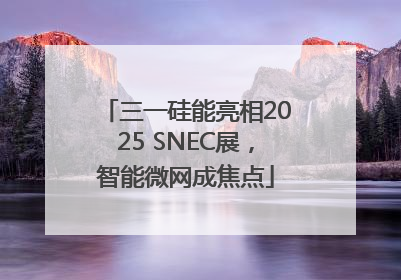 三一硅能亮相2025 SNEC展，智能微网成焦点