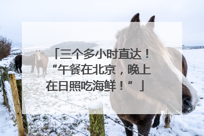 三个多小时直达！“午餐在北京，晚上在日照吃海鲜！”