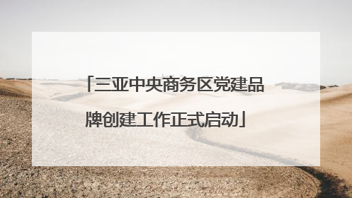 三亚中央商务区党建品牌创建工作正式启动