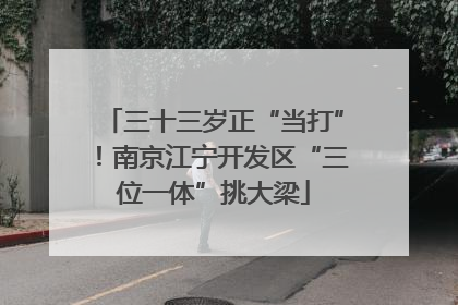 三十三岁正“当打”！南京江宁开发区“三位一体”挑大梁