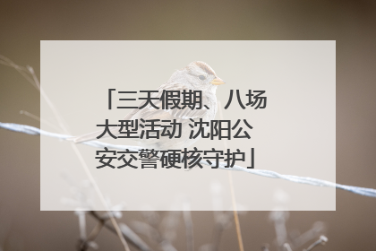 三天假期、八场大型活动 沈阳公安交警硬核守护