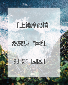上第摩码悄然变身“网红打卡”园区