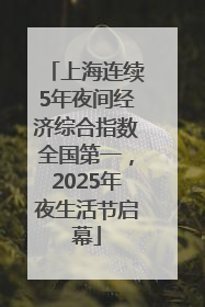 上海连续5年夜间经济综合指数全国第一，2025年夜生活节启幕