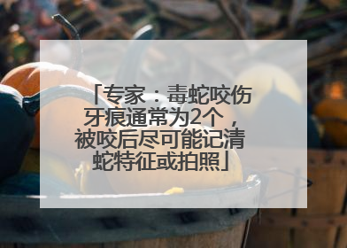 专家：毒蛇咬伤牙痕通常为2个，被咬后尽可能记清蛇特征或拍照