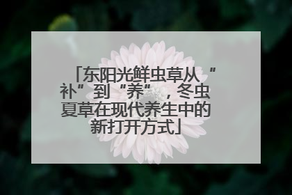 东阳光鲜虫草从“补”到“养”，冬虫夏草在现代养生中的新打开方式