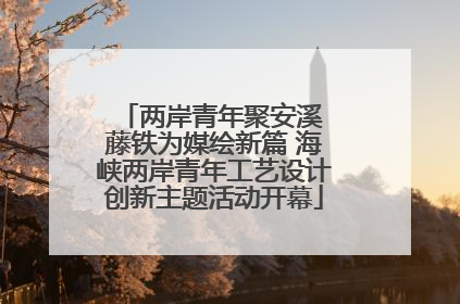 两岸青年聚安溪 藤铁为媒绘新篇 海峡两岸青年工艺设计创新主题活动开幕