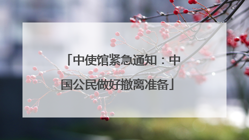 中使馆紧急通知：中国公民做好撤离准备