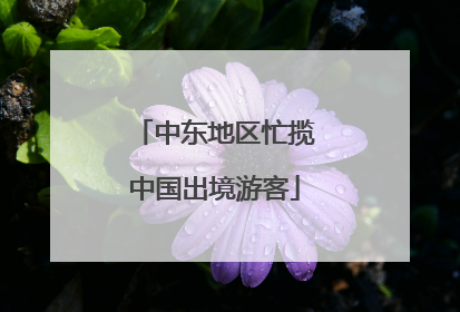 中东地区忙揽中国出境游客