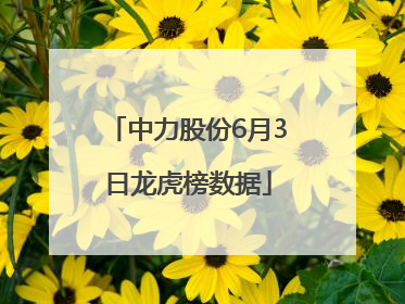 中力股份6月3日龙虎榜数据