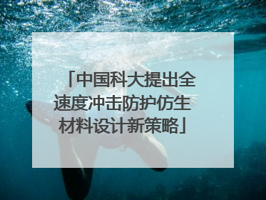 中国科大提出全速度冲击防护仿生材料设计新策略
