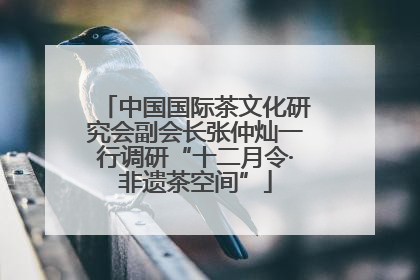 中国国际茶文化研究会副会长张仲灿一行调研“十二月令·非遗茶空间”