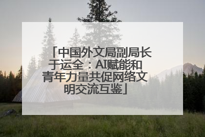 中国外文局副局长于运全：AI赋能和青年力量共促网络文明交流互鉴