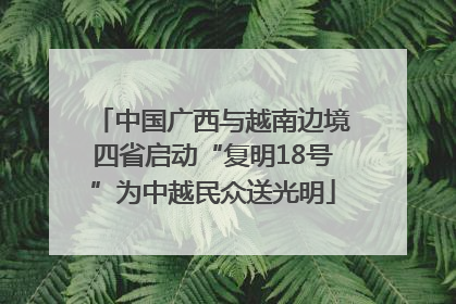 中国广西与越南边境四省启动“复明18号”为中越民众送光明