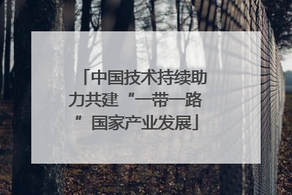 中国技术持续助力共建“一带一路”国家产业发展