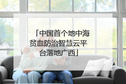 中国首个地中海贫血防治智慧云平台落地广西