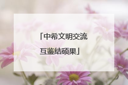 中希文明交流互鉴结硕果