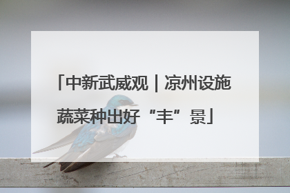 中新武威观｜凉州设施蔬菜种出好“丰”景