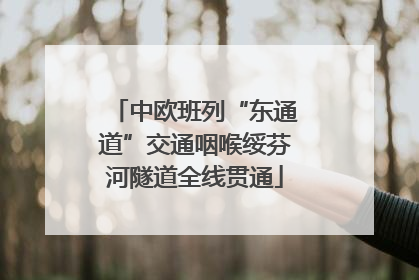 中欧班列“东通道”交通咽喉绥芬河隧道全线贯通