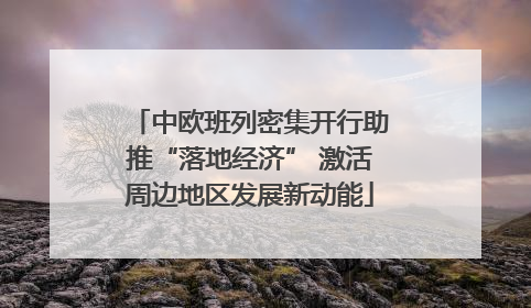 中欧班列密集开行助推“落地经济” 激活周边地区发展新动能