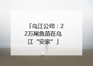 乌江公司：22万尾鱼苗在乌江“安家”