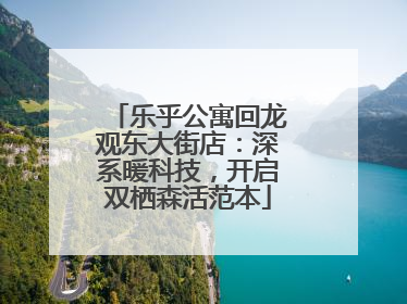 乐乎公寓回龙观东大街店：深系暖科技，开启双栖森活范本