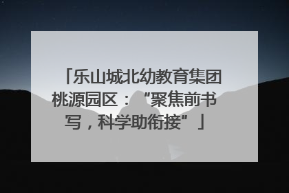 乐山城北幼教育集团桃源园区：“聚焦前书写，科学助衔接”
