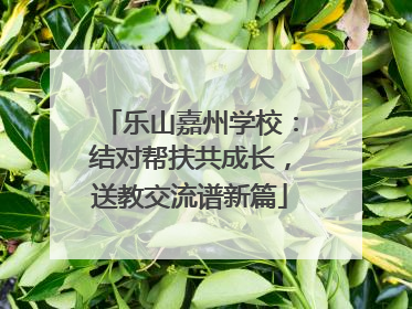 乐山嘉州学校：结对帮扶共成长，送教交流谱新篇