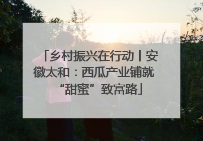 乡村振兴在行动丨安徽太和：西瓜产业铺就“甜蜜”致富路